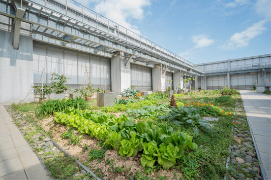Urban Farm, Hysan Place