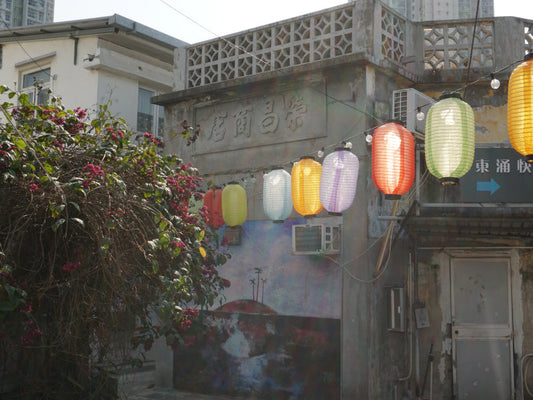 Beyond Skytopia: an Immersion into Tung Chung's Urban-Rural Symbiotic Network