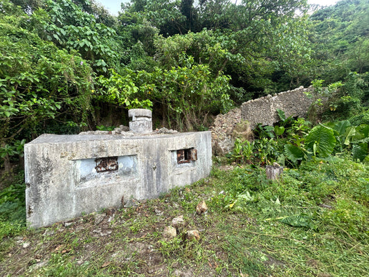 Tai Tam Gap and Turtle Cove Pillboxes, Hong Kong Island